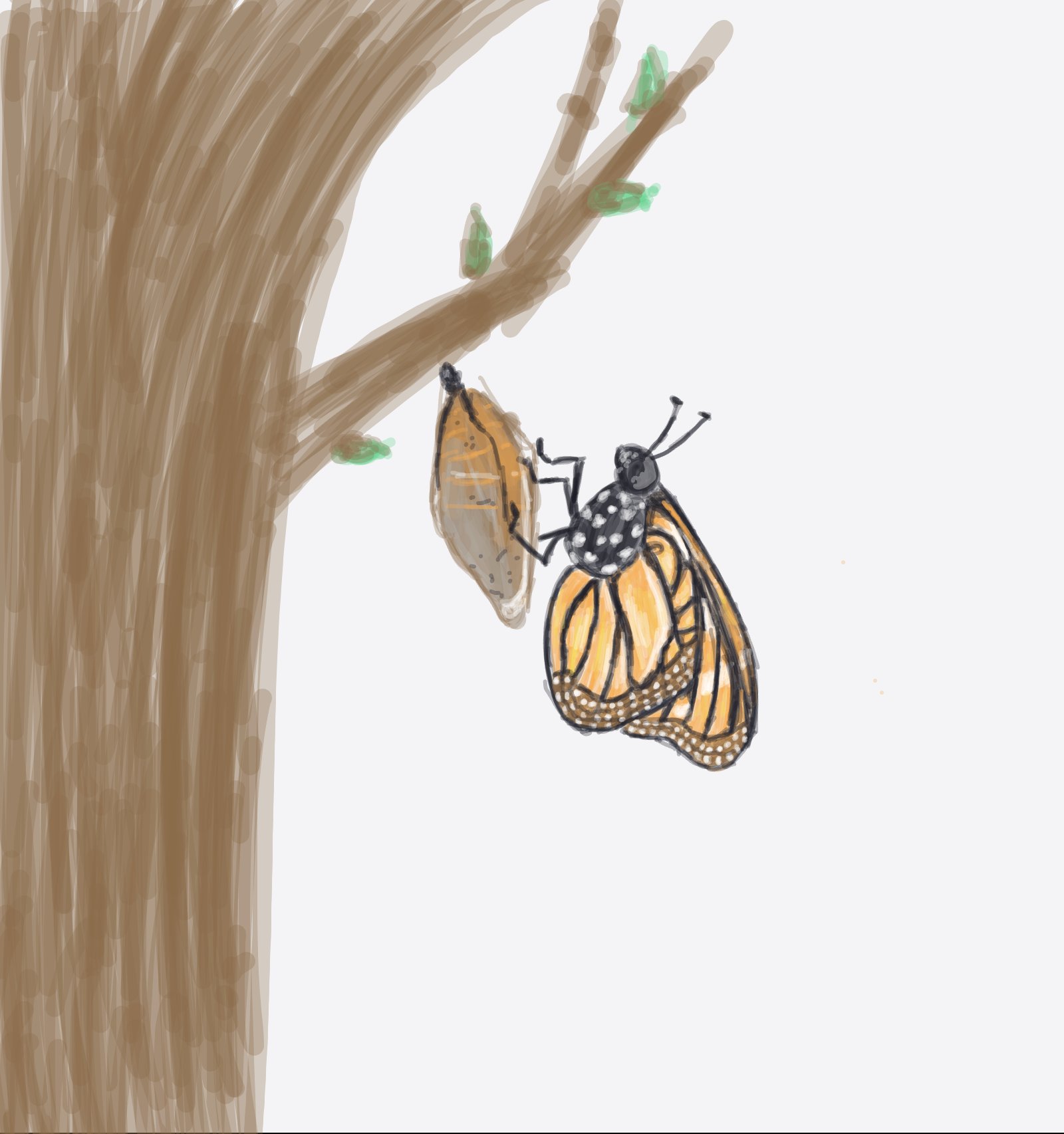 My Birth of a butterfly — a one-shot sketch by Mizzie on The Midnight Gallery daily drawing app.