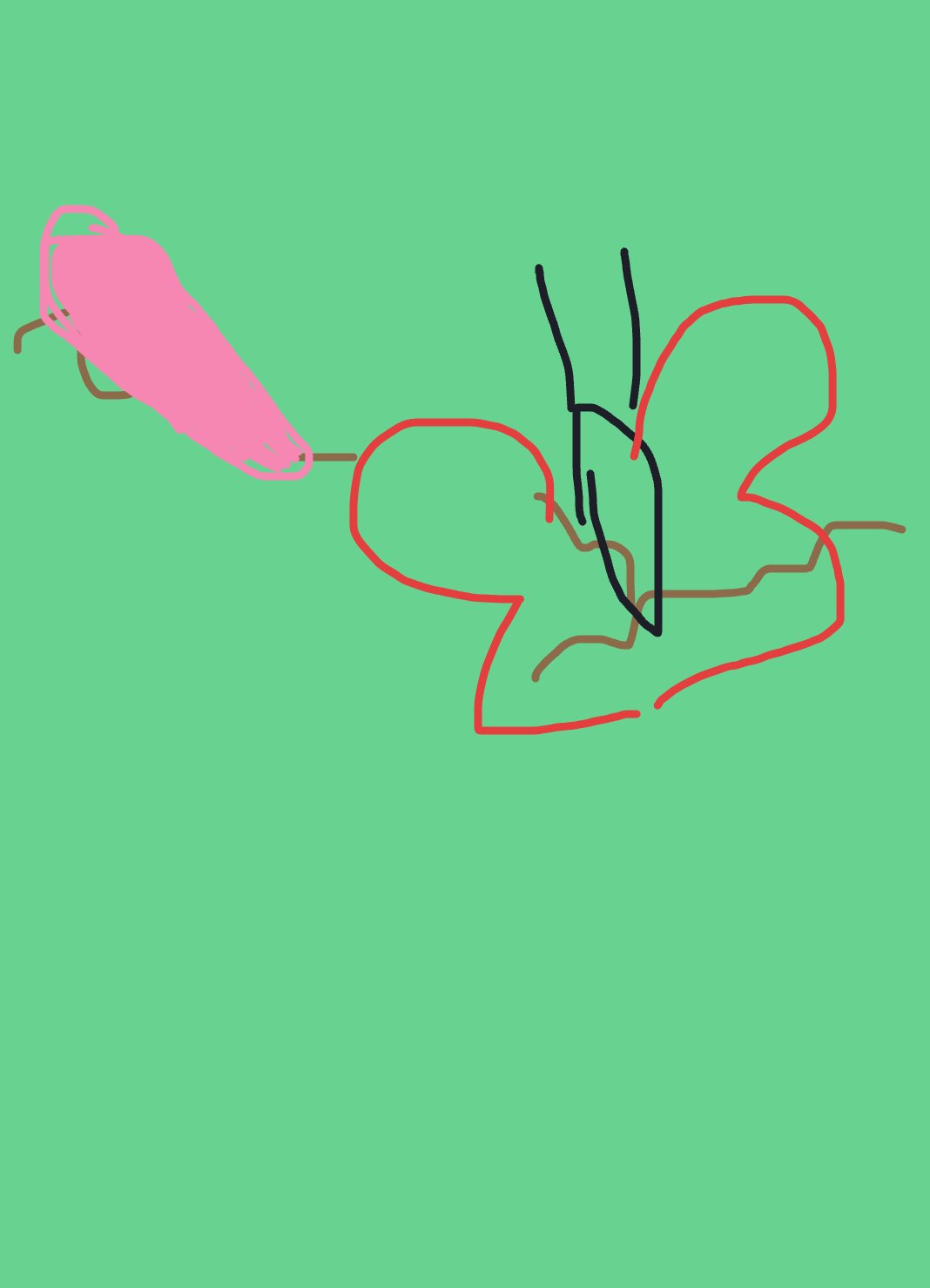 My Naissance d'un papillon — a one-shot sketch by Cerise971 on The Midnight Gallery daily drawing app.