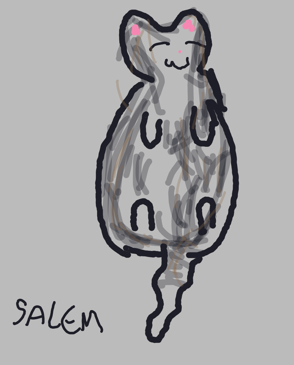 Vrai photo de mon (gros) chat — a one-shot sketch by Nnes on The Midnight Gallery daily drawing app.